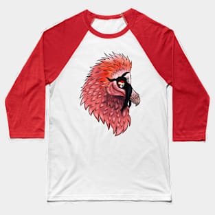 Bearded Vulture Head Baseball T-Shirt